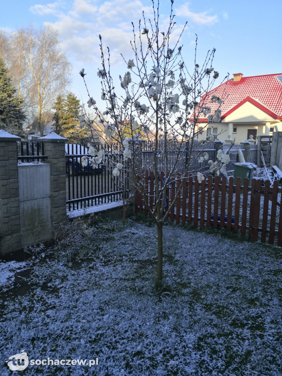 Przymrozki w powiecie sochaczewskim