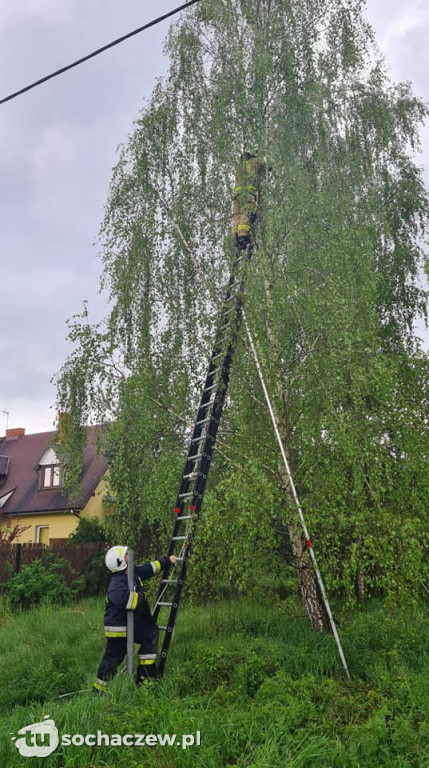 Śladów: strażacy OSP Kromnów usuwali szkody po burzy