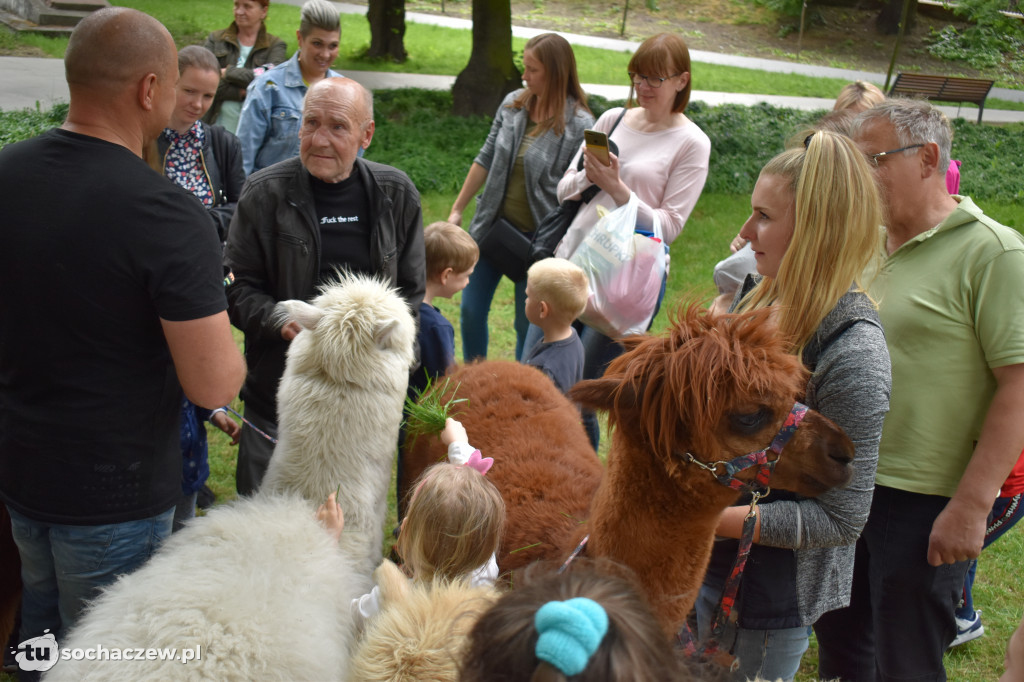 Dzień Dziecka w Sochaczewie
