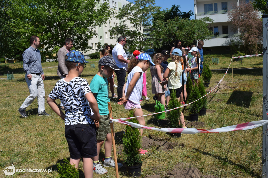 Sochaczew: ekologiczna akcja sadzenia drzewek