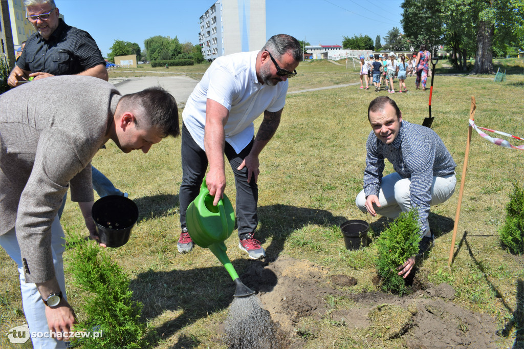 Sochaczew: ekologiczna akcja sadzenia drzewek