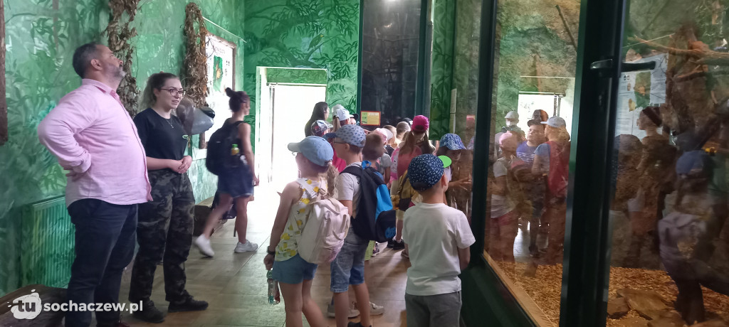 Wizyta w płockim ZOO