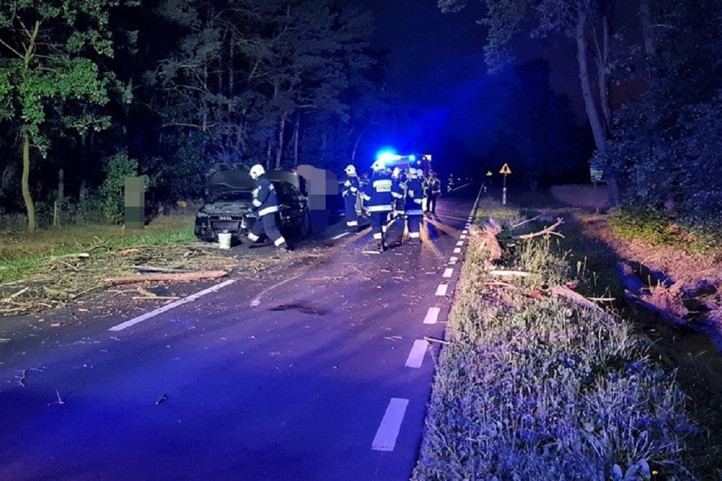 Nietypowe zdarzenie drogowe w gminie Słubice
