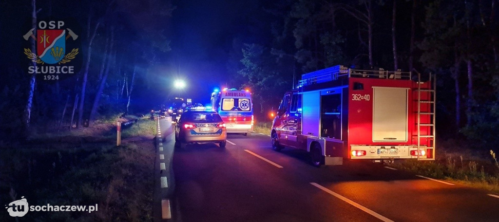 Nietypowe zdarzenie drogowe w gminie Słubice