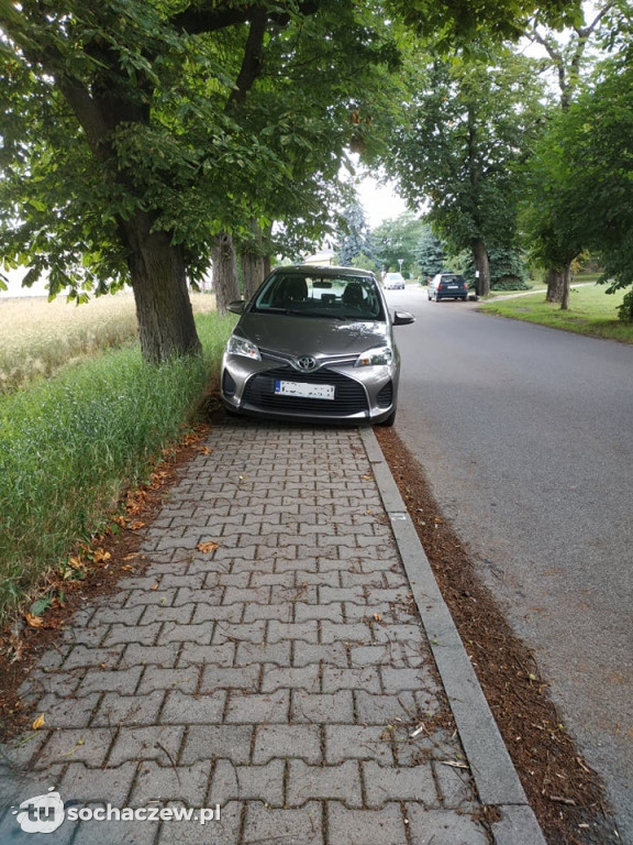 Mistrzowie parkowania Sochaczew i Rybno