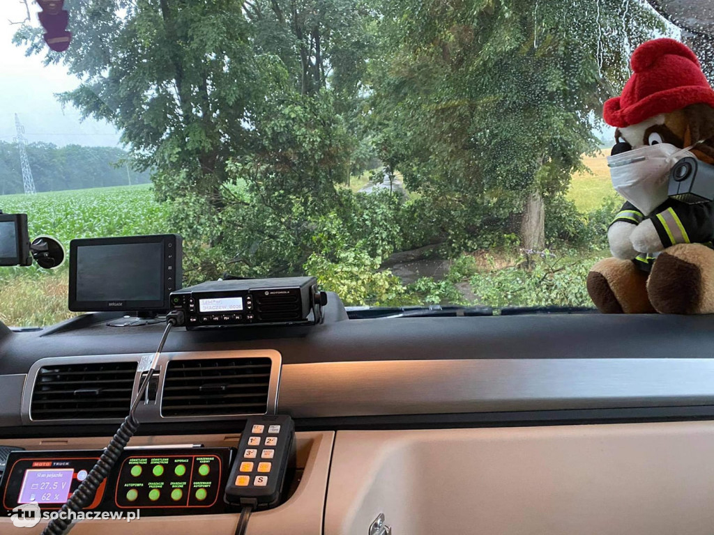 Burza Sochaczew 9 lipca. Kilkadziesiąt interwencji strażaków