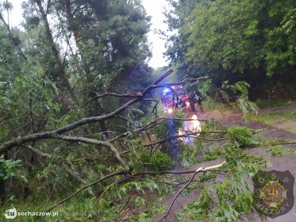 Burza Sochaczew 9 lipca. Kilkadziesiąt interwencji strażaków