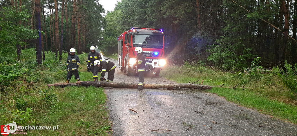 Burza Sochaczew 9 lipca. Kilkadziesiąt interwencji strażaków