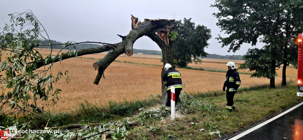 Burza Sochaczew 9 lipca. Kilkadziesiąt interwencji strażaków
