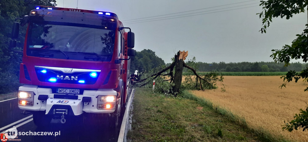 Burza Sochaczew 9 lipca. Kilkadziesiąt interwencji strażaków
