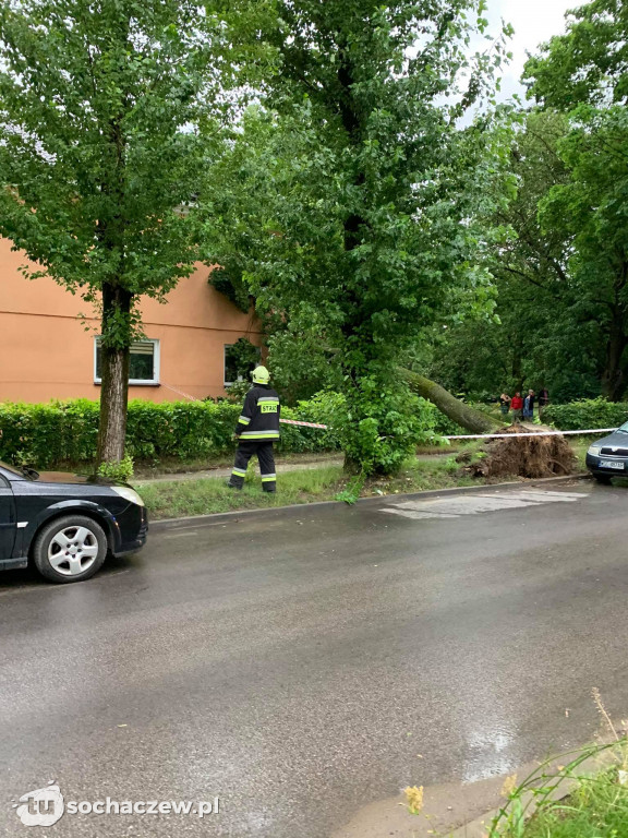 Burza Sochaczew 9 lipca. Kilkadziesiąt interwencji strażaków
