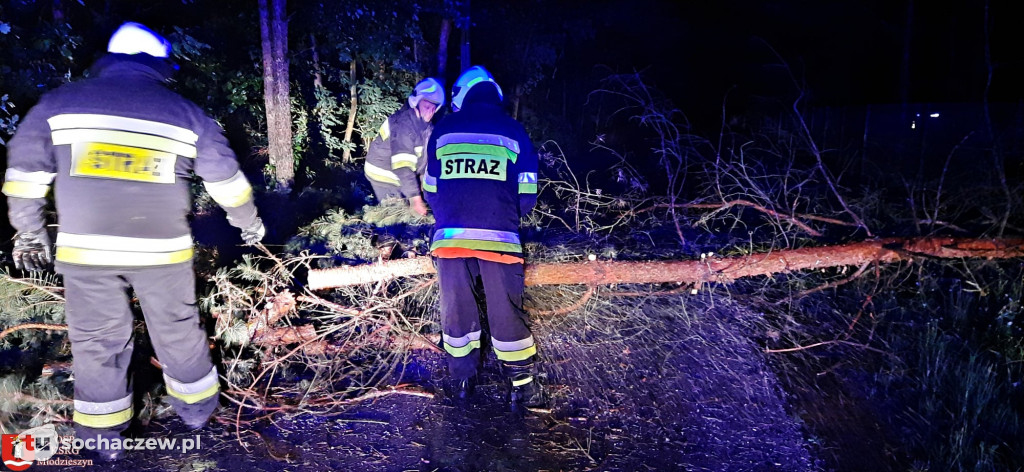 Strażacy walczą ze skutkami nocnej burzy