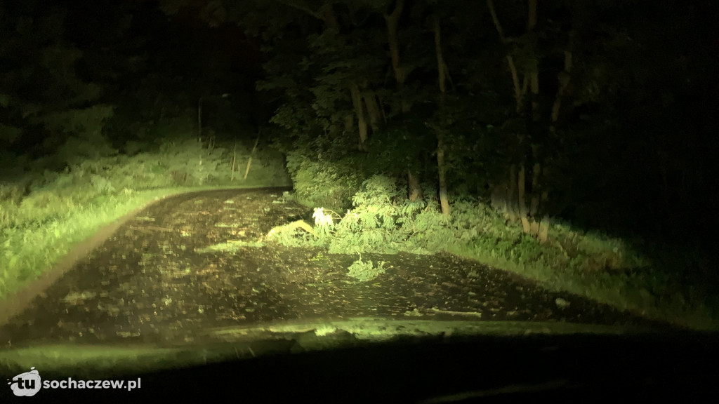 Strażacy walczą ze skutkami nocnej burzy