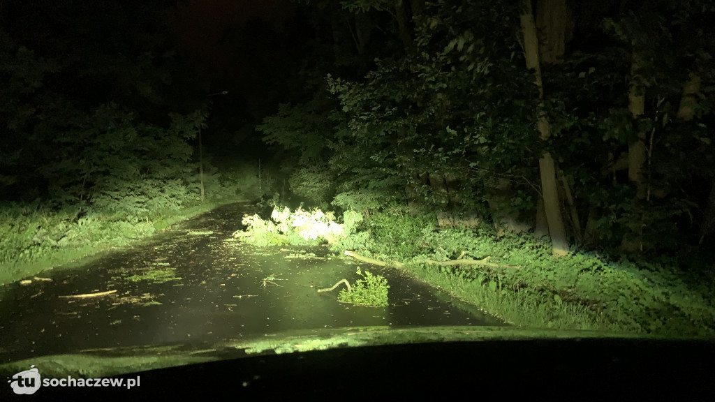 Strażacy walczą ze skutkami nocnej burzy