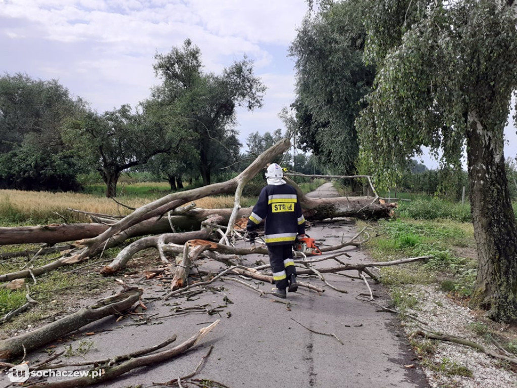 Strażacy walczą ze skutkami nocnej burzy