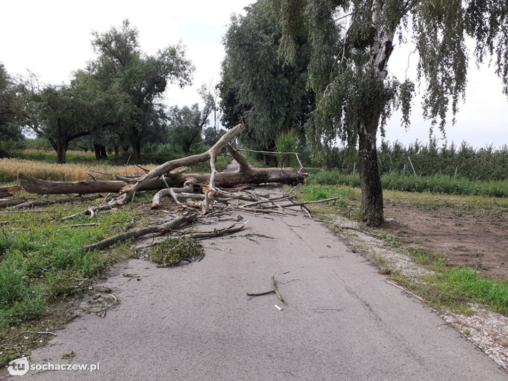 Strażacy walczą ze skutkami nocnej burzy