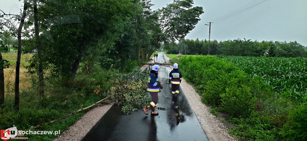 Strażacy walczą ze skutkami nocnej burzy