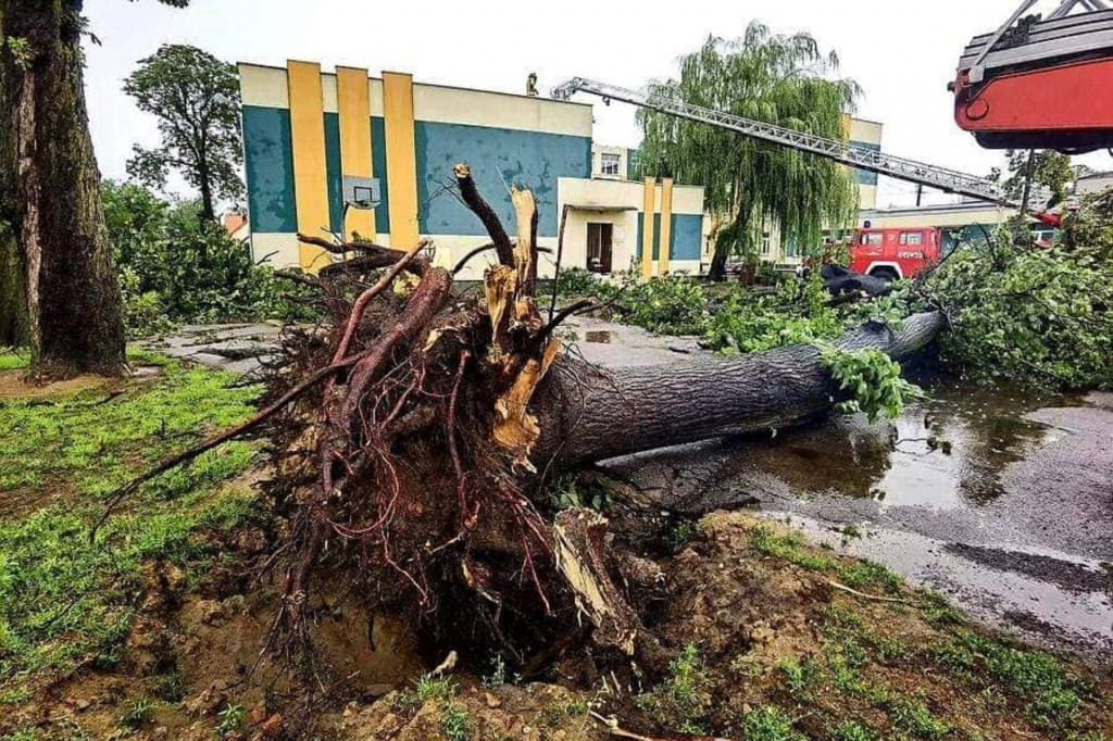 Sanniki usuwanie zniszczeń po burzy