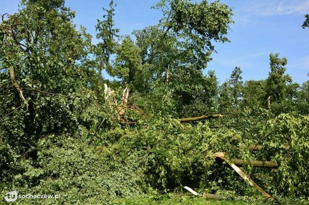 Sanniki usuwanie zniszczeń po burzy