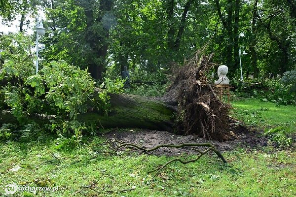 Sanniki usuwanie zniszczeń po burzy