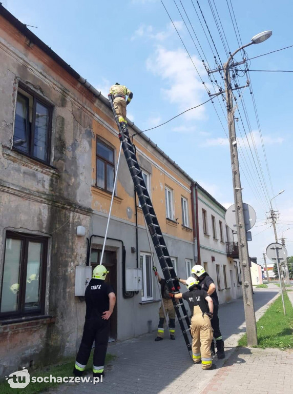 Sanniki usuwanie zniszczeń po burzy