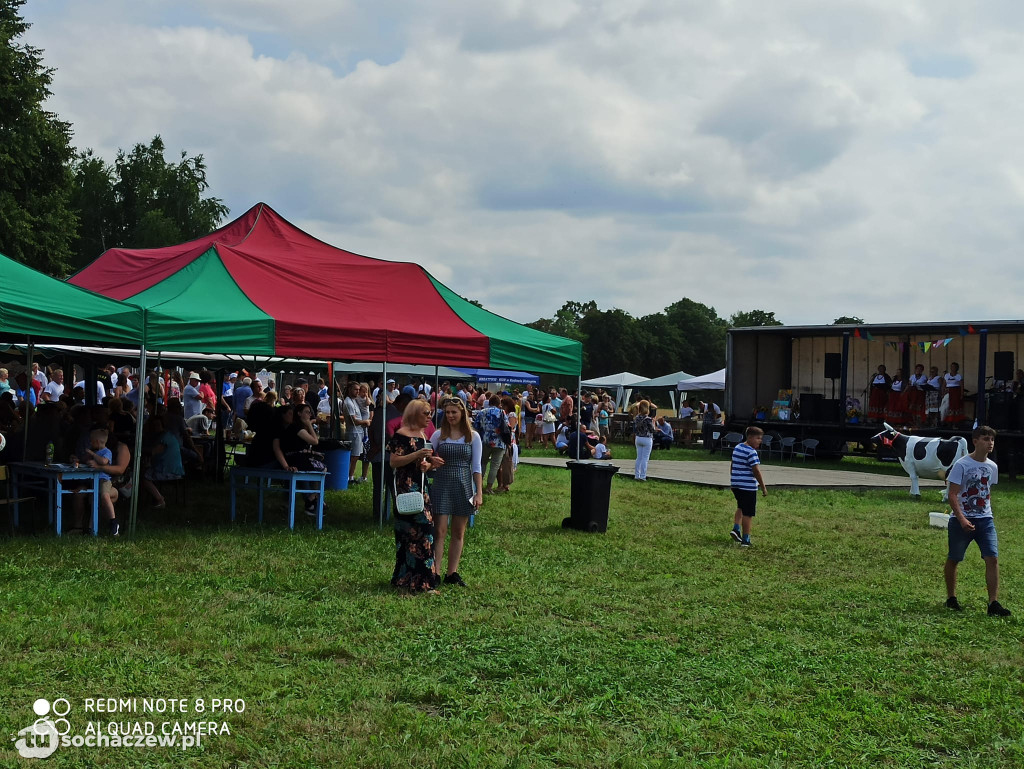 Piknik dla Zuzi