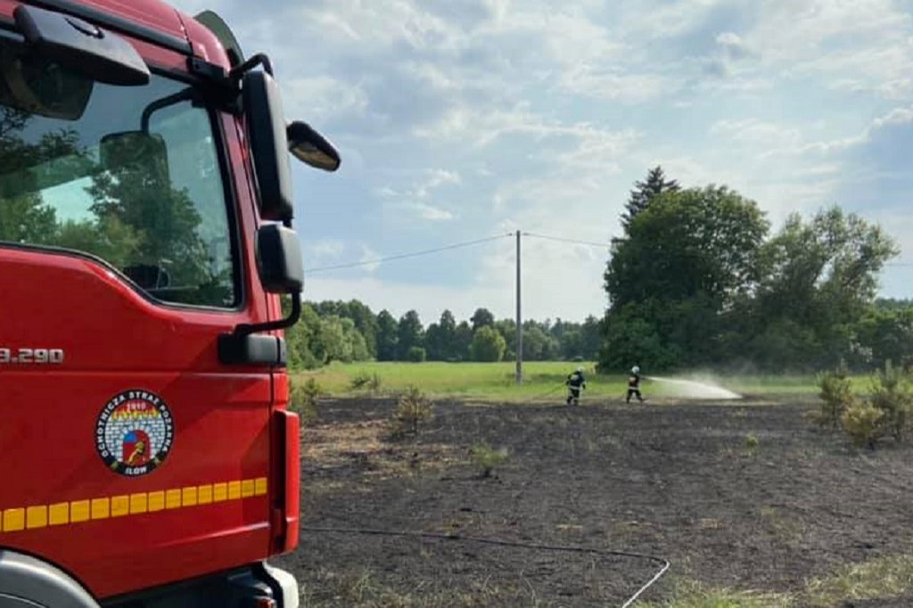 Pożar trawy. OSP Iłów w akcji