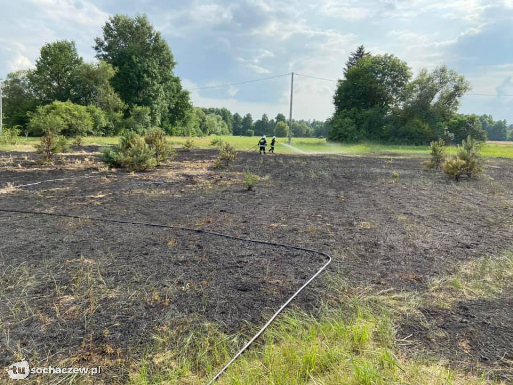 Pożar trawy. OSP Iłów w akcji