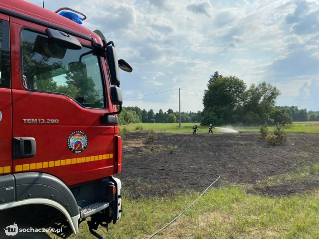 Pożar trawy. OSP Iłów w akcji