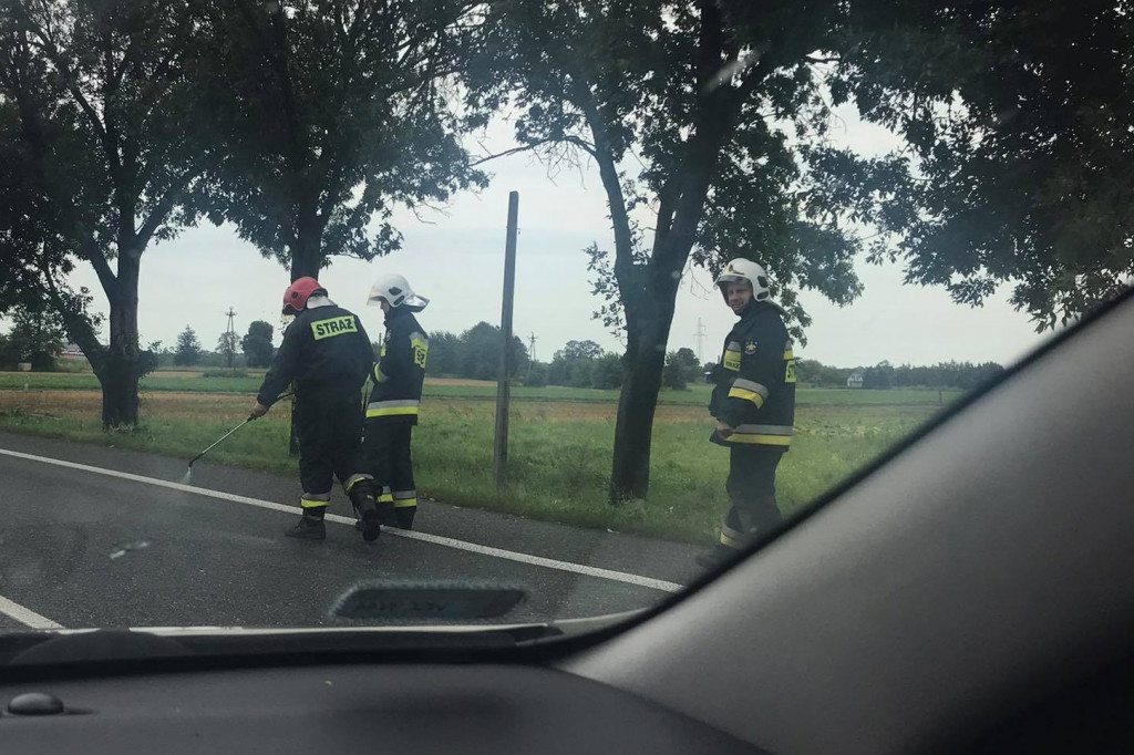 Olej na DK 97, utrudnienia w gminie Teresin