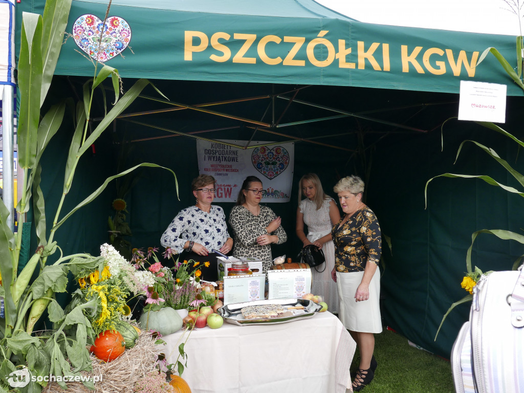 Dożynki w Iłowie 2021
