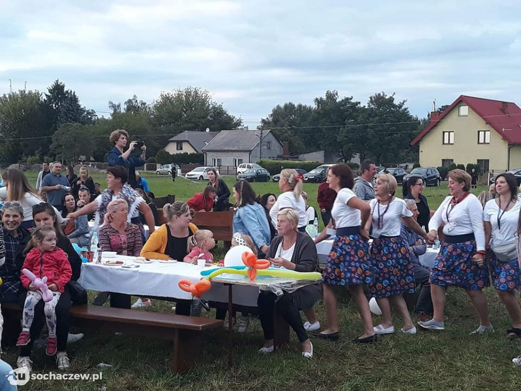 Udany festyn dla Alanka przy OSP Mokas
