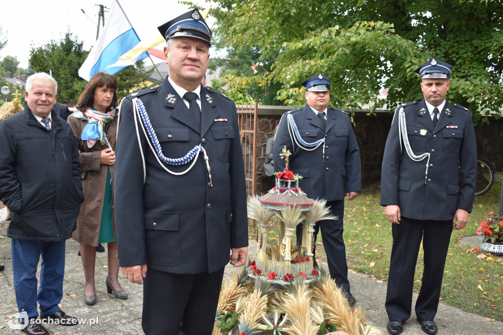 Dożynki powiatowe w Rybnie