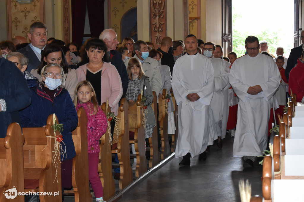 Dożynki powiatowe w Rybnie
