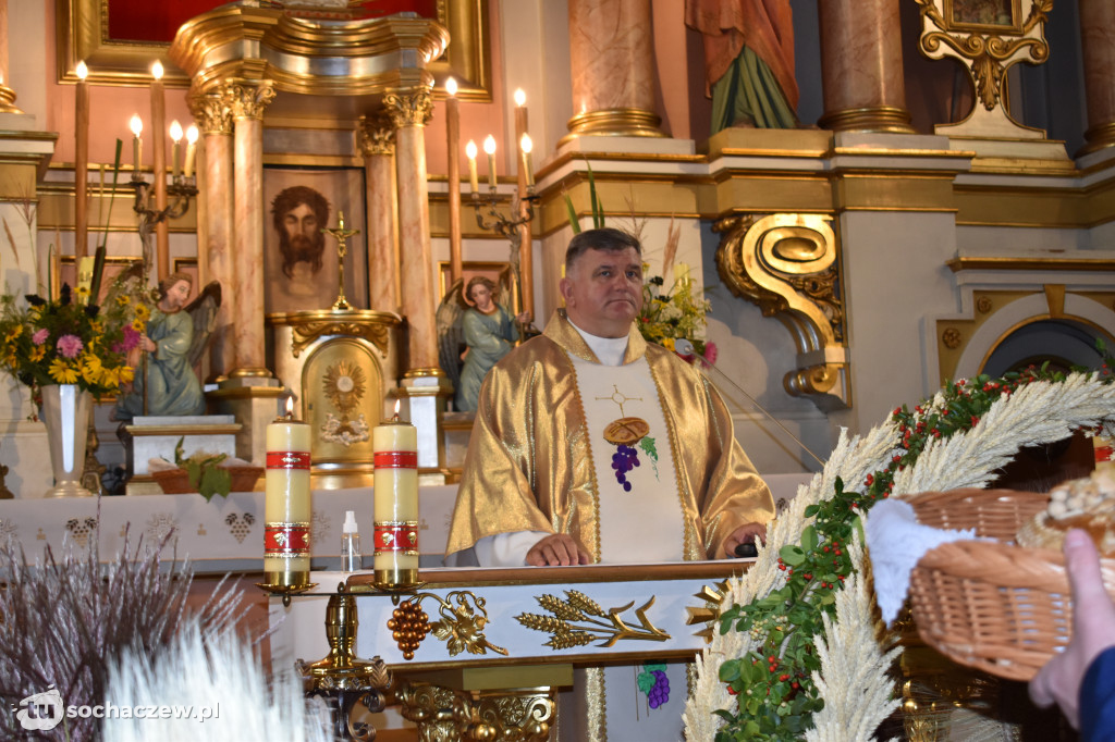 Dożynki powiatowe w Rybnie