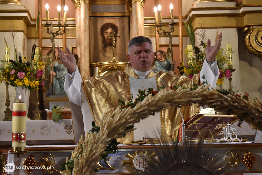 Dożynki powiatowe w Rybnie