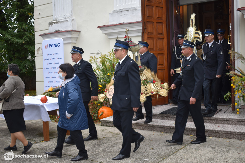 Dożynki powiatowe w Rybnie