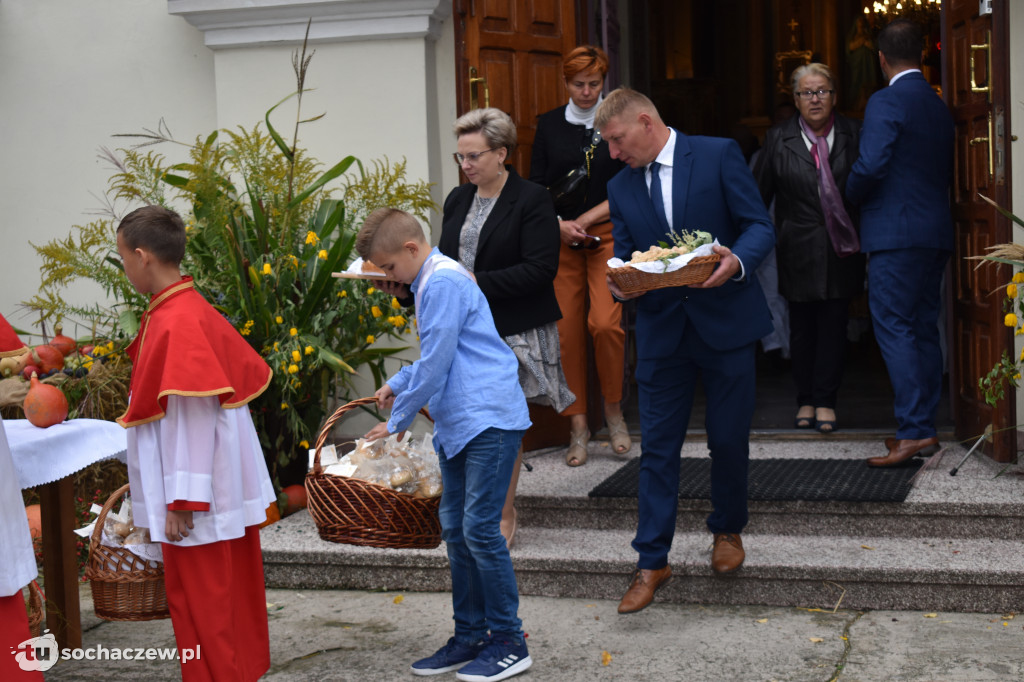 Dożynki powiatowe w Rybnie