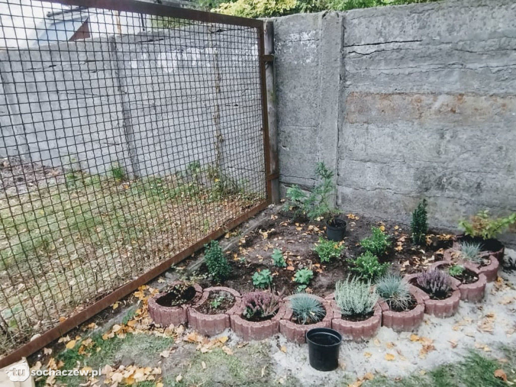 Wsparli niepełnosprawnych z Sochaczewa
