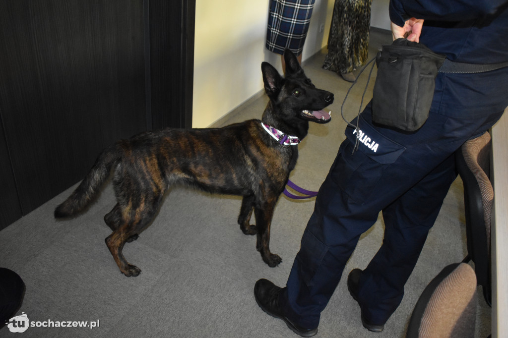 Policja dziękuje za Ebrę i Ritę
