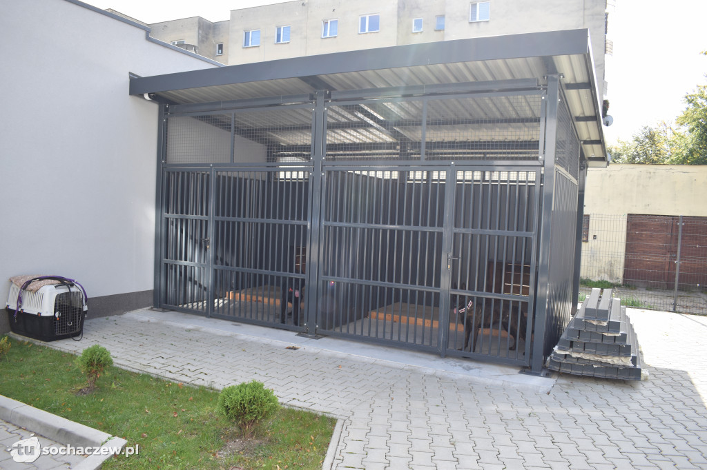 Policja dziękuje za Ebrę i Ritę