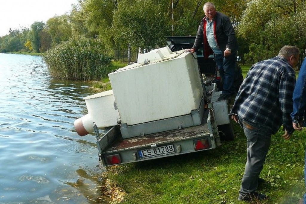 Zalew Boryszew. Zarybianie