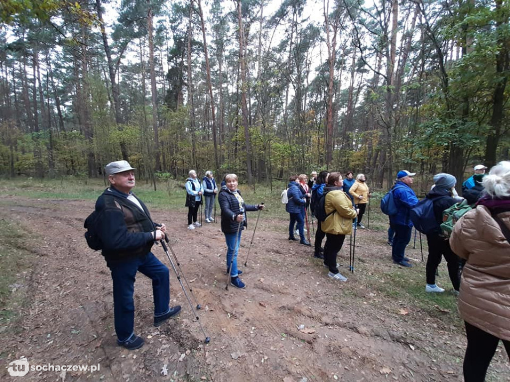 Marsz nordic walking w Rybnie za nami