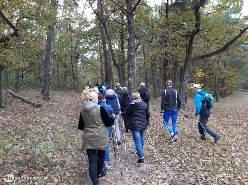 Marsz nordic walking w Rybnie za nami