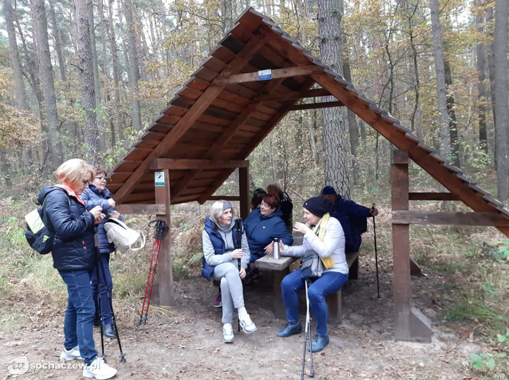 Marsz nordic walking w Rybnie za nami