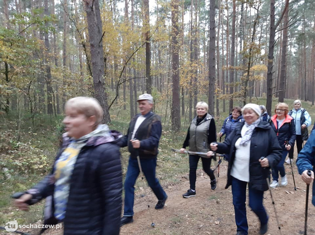 Marsz nordic walking w Rybnie za nami