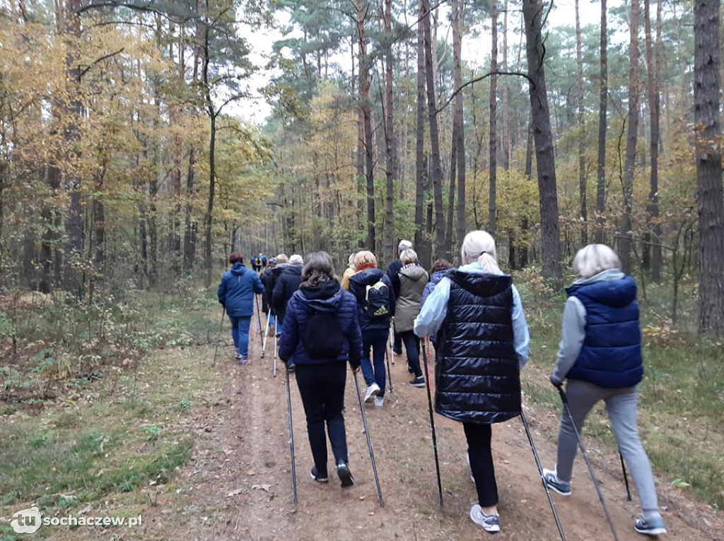 Marsz nordic walking w Rybnie za nami