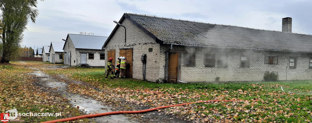 Ćwiczenia bojowe strażaków z powiatu