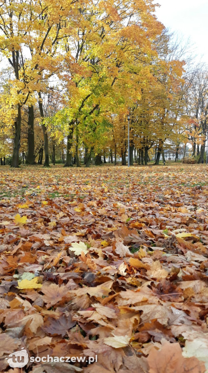Jesień w Sannikach