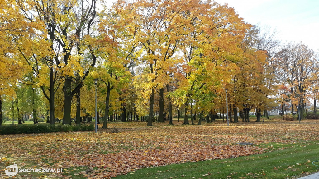 Jesień w Sannikach